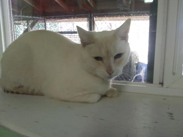 Horatio thumbnail 4
