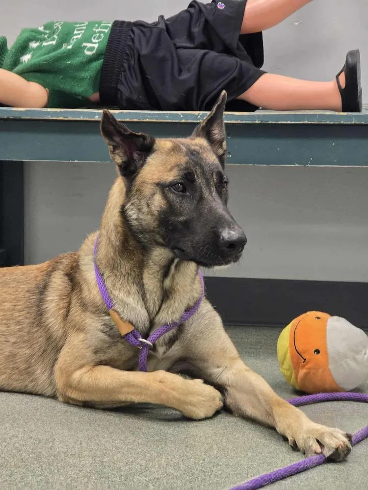 Tango  Located In thumbnail 3