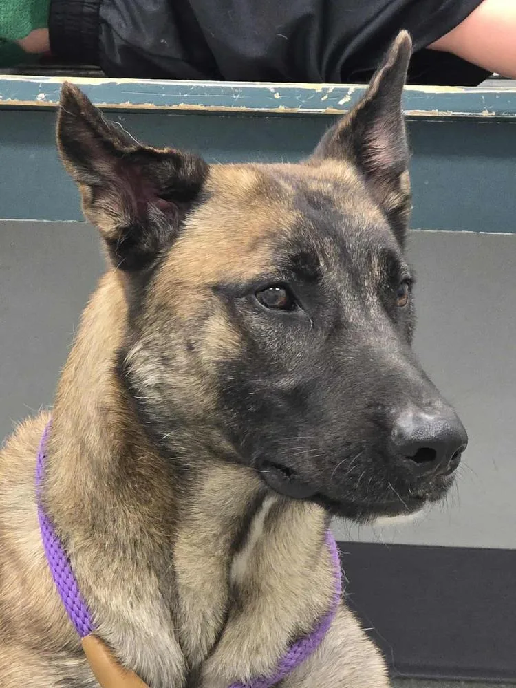 Tango  Located In thumbnail 4