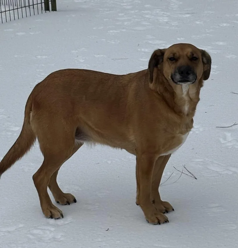 Piper Burton thumbnail 2