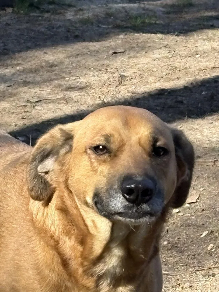 Piper Burton thumbnail 3