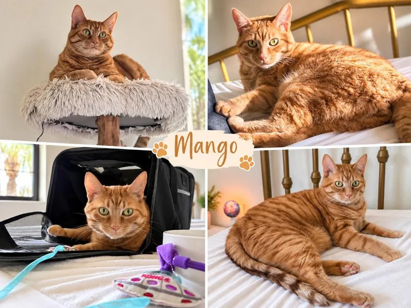 Mango thumbnail 2