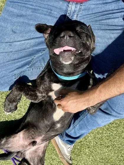 Summertime Happiness