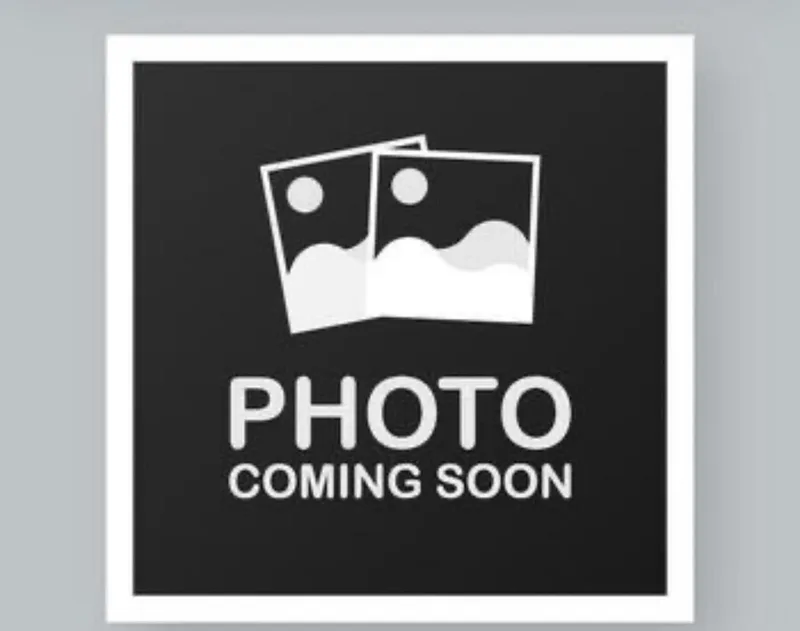 An adult medium-sized female Yellow / Tan / Blond / Fawn Goldendoodle dog named Rosie.  Lbs for adoption in Antwerp, OH