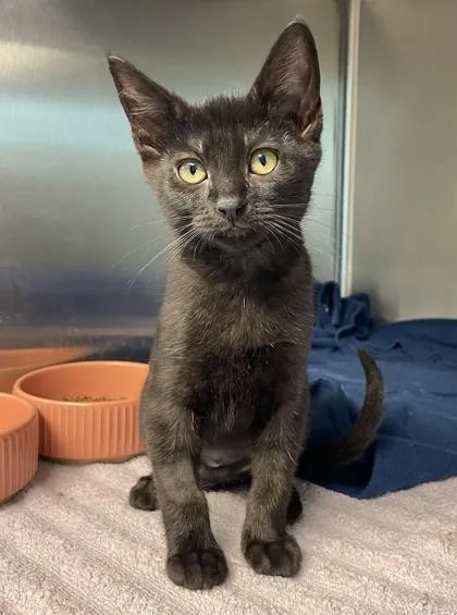 Beatrix Potter thumbnail 2