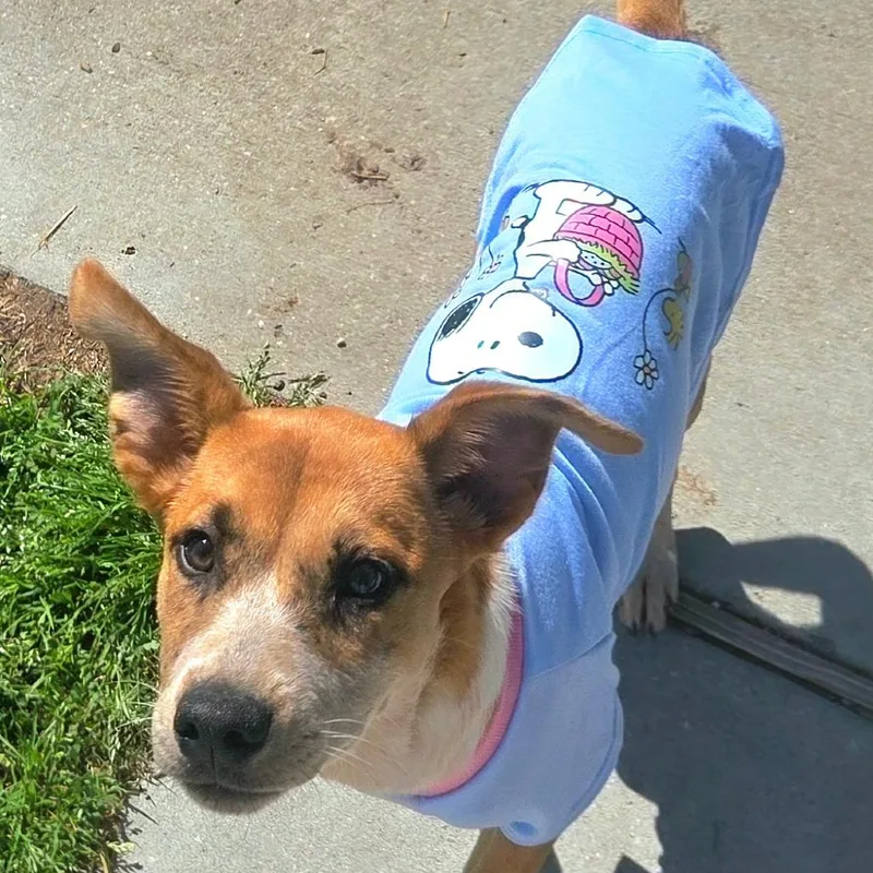 Lovely Luna thumbnail 2