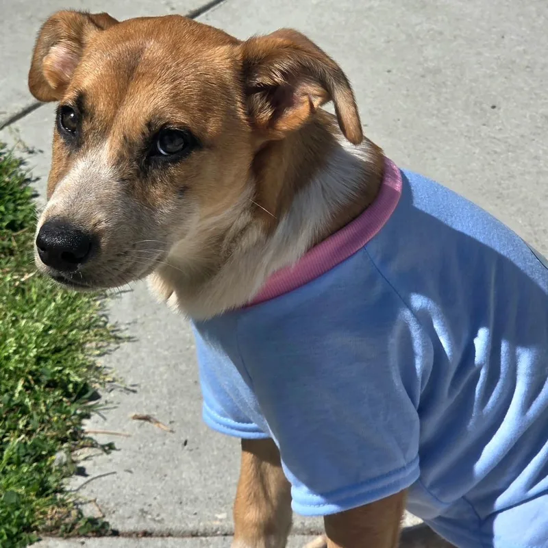 Lovely Luna thumbnail 3