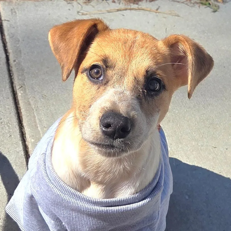 Lovely Luna thumbnail 4