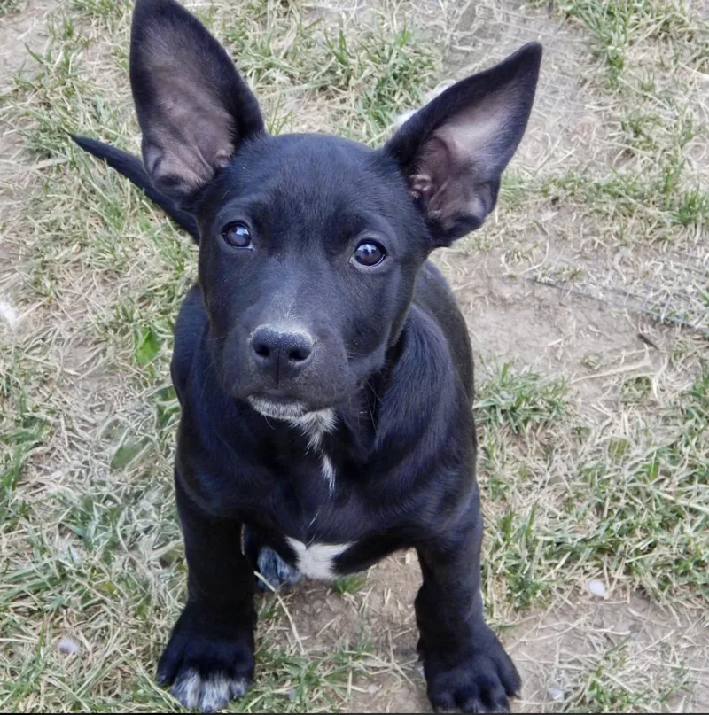Nora