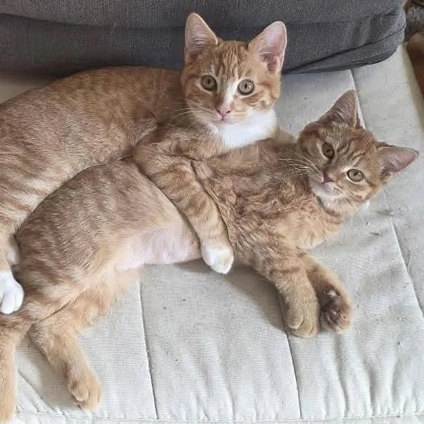 Doc Holiday thumbnail 2