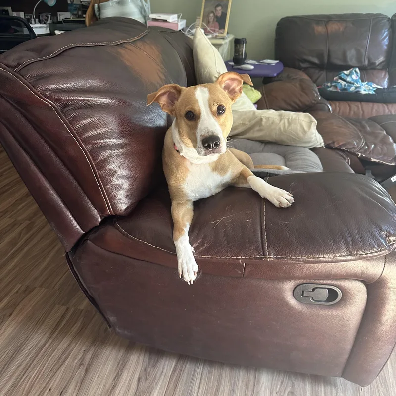 Skye