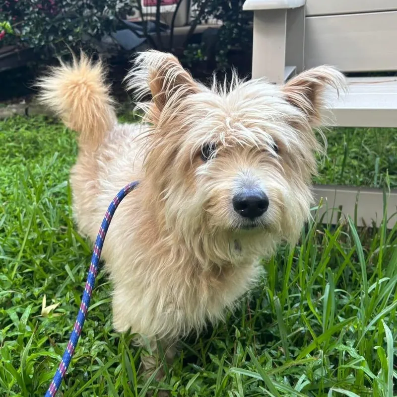 Fraiser thumbnail 2