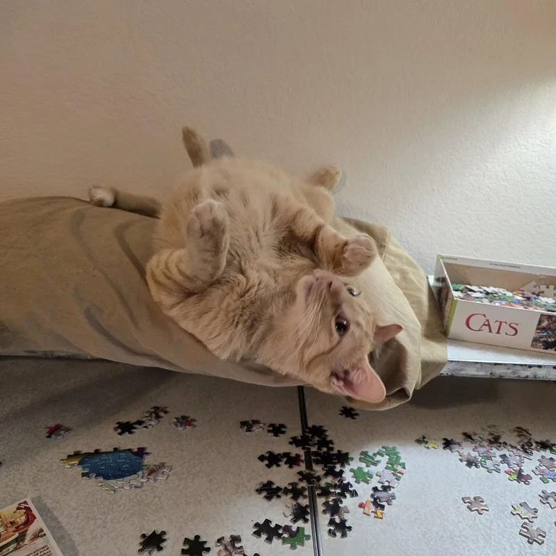 Ralphie thumbnail 2