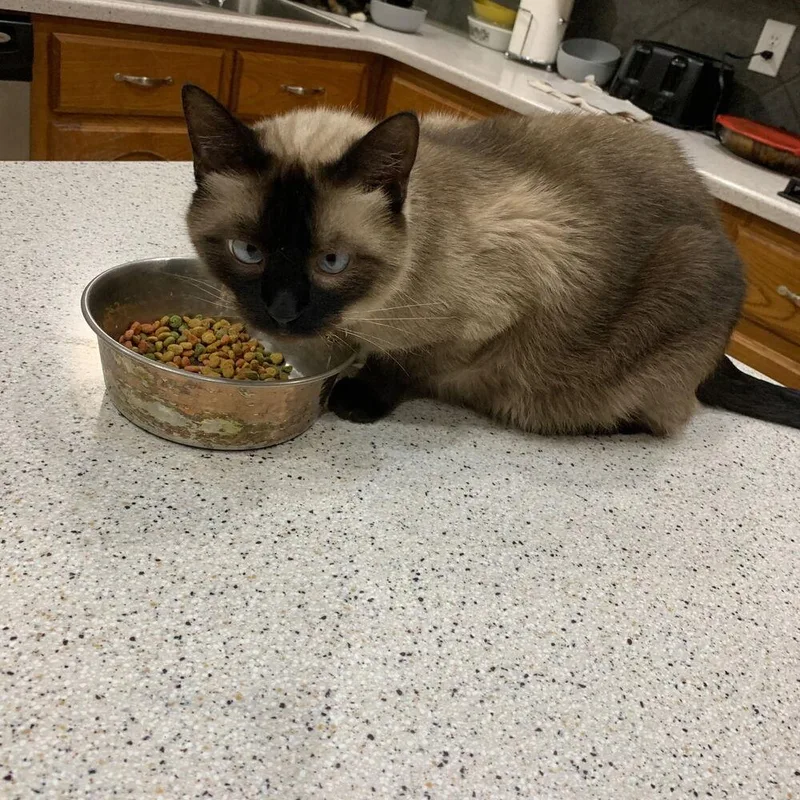 Max