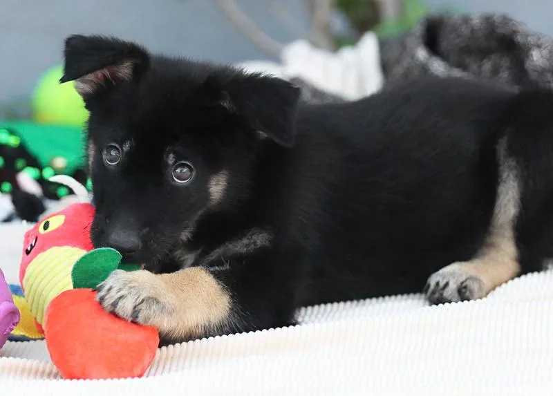 Astro von Aken thumbnail 3