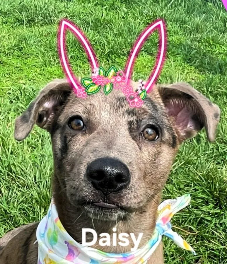Daisy Duke thumbnail 2