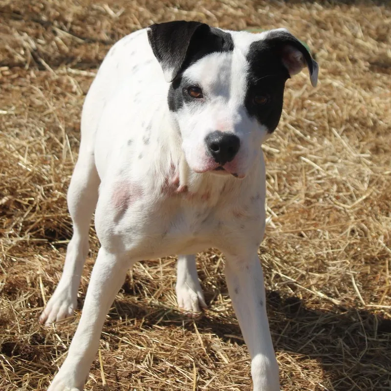 Mama Lynn thumbnail 4