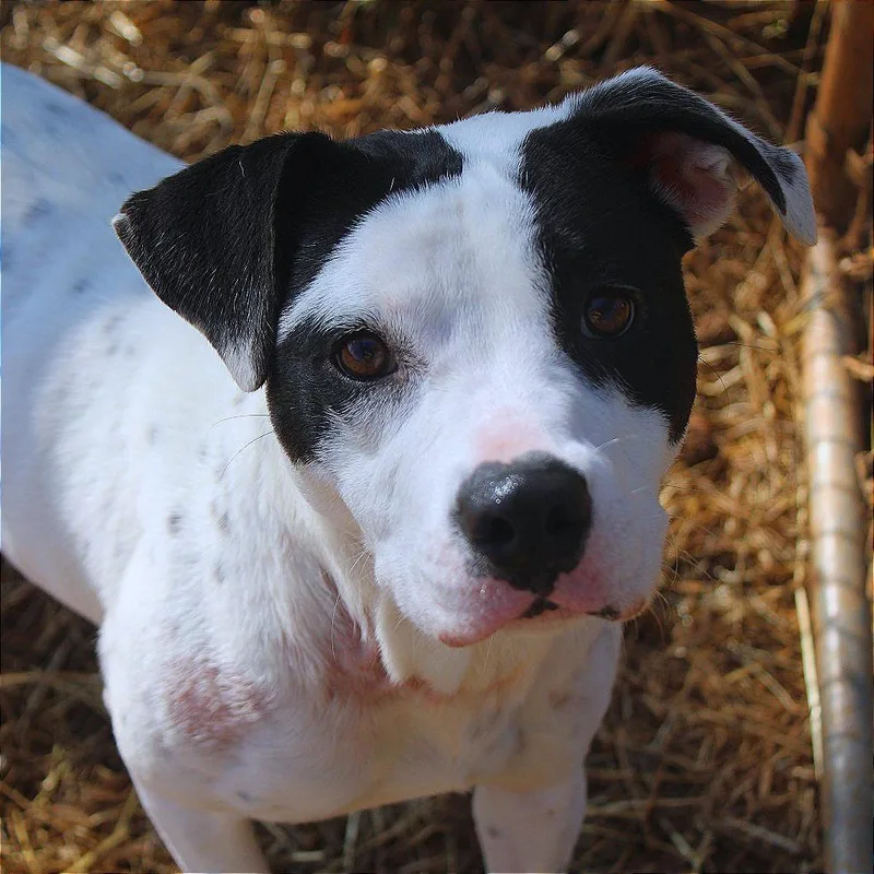 Mama Lynn thumbnail 5