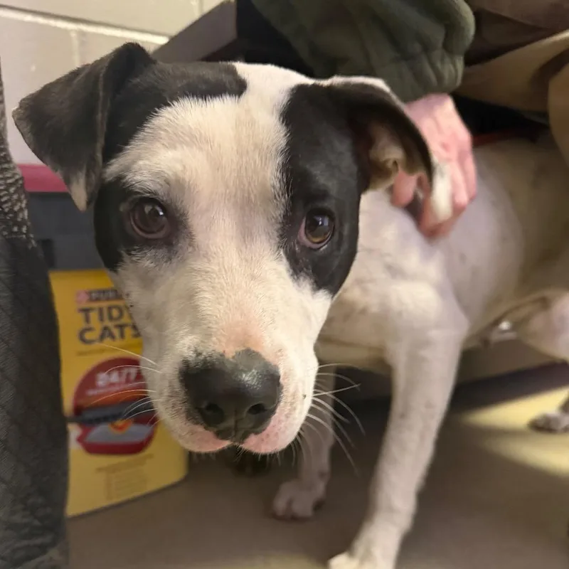 Mama Lynn thumbnail 6