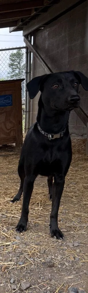 Wednesday thumbnail 2