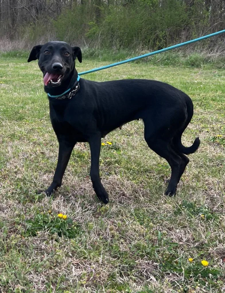 Wednesday thumbnail 3