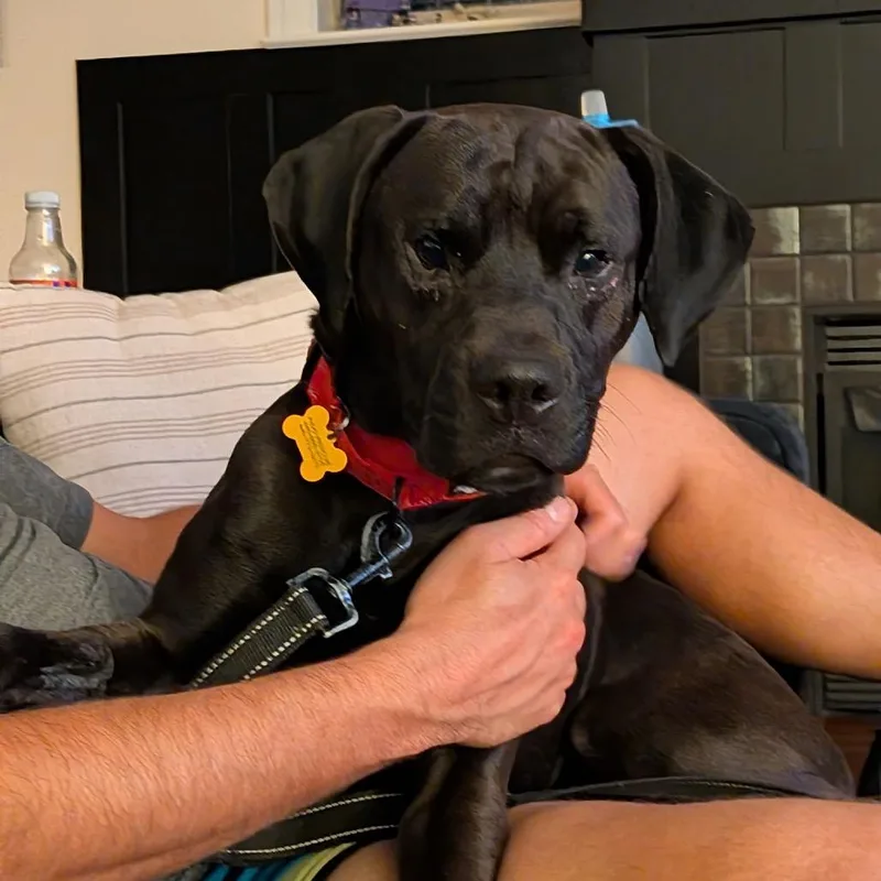 Milo