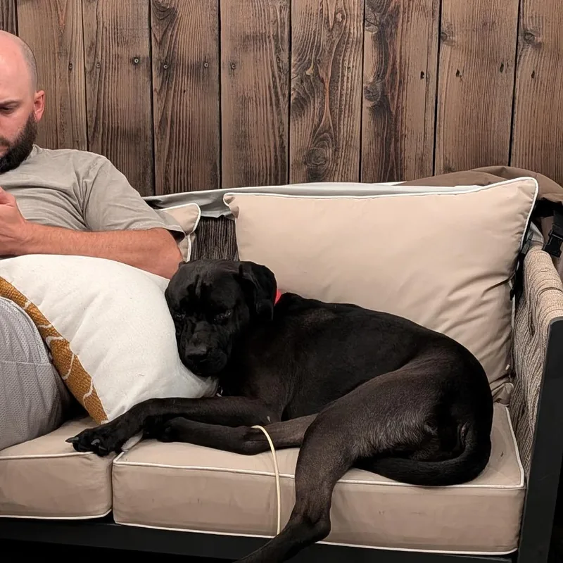 Milo thumbnail 2