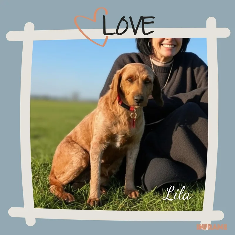 Lila thumbnail 5