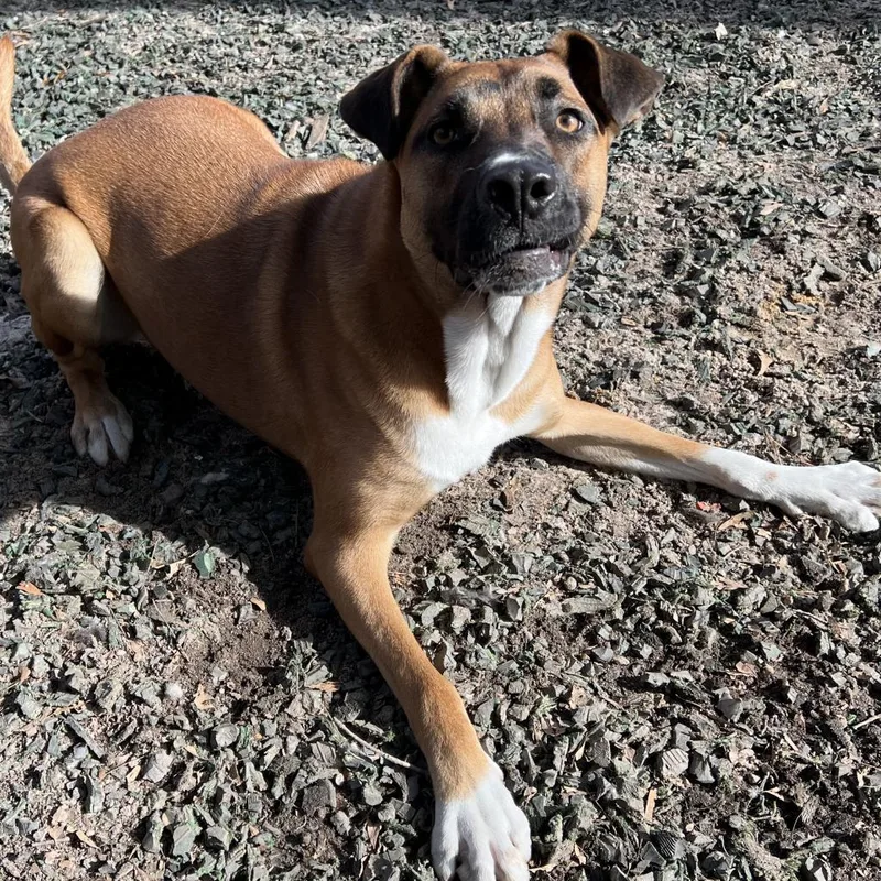 Triss Of Sodden thumbnail 2