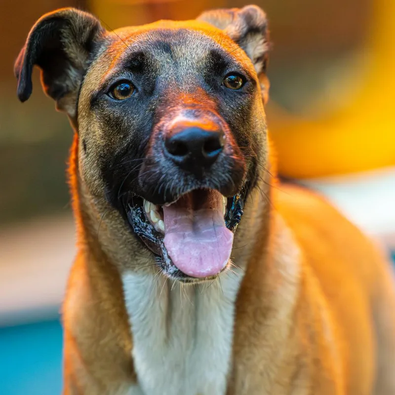 Triss Of Sodden thumbnail 3