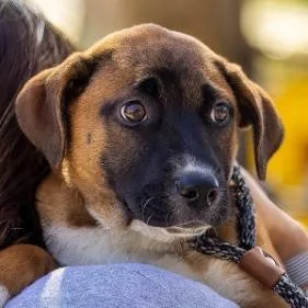 Triss Of Sodden thumbnail 5