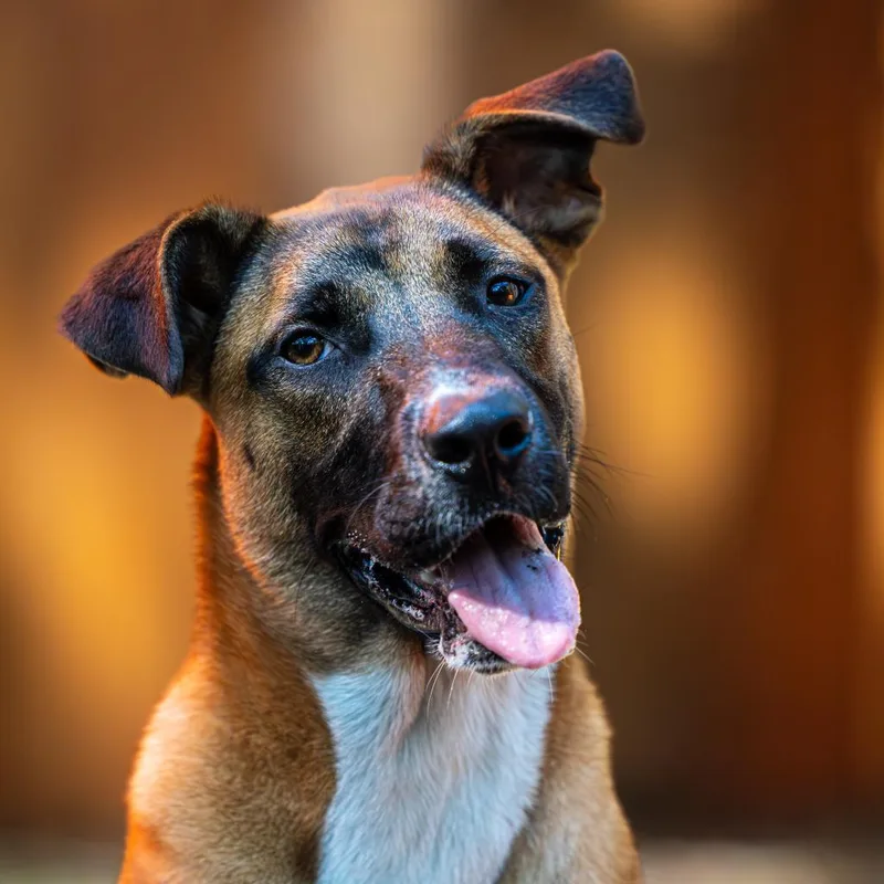 Triss Of Sodden thumbnail 6