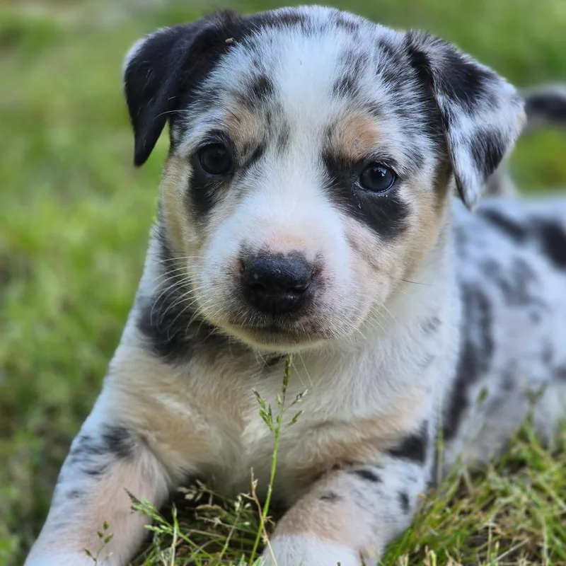 Harmonic thumbnail 2