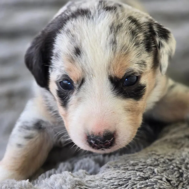 Harmonic thumbnail 5