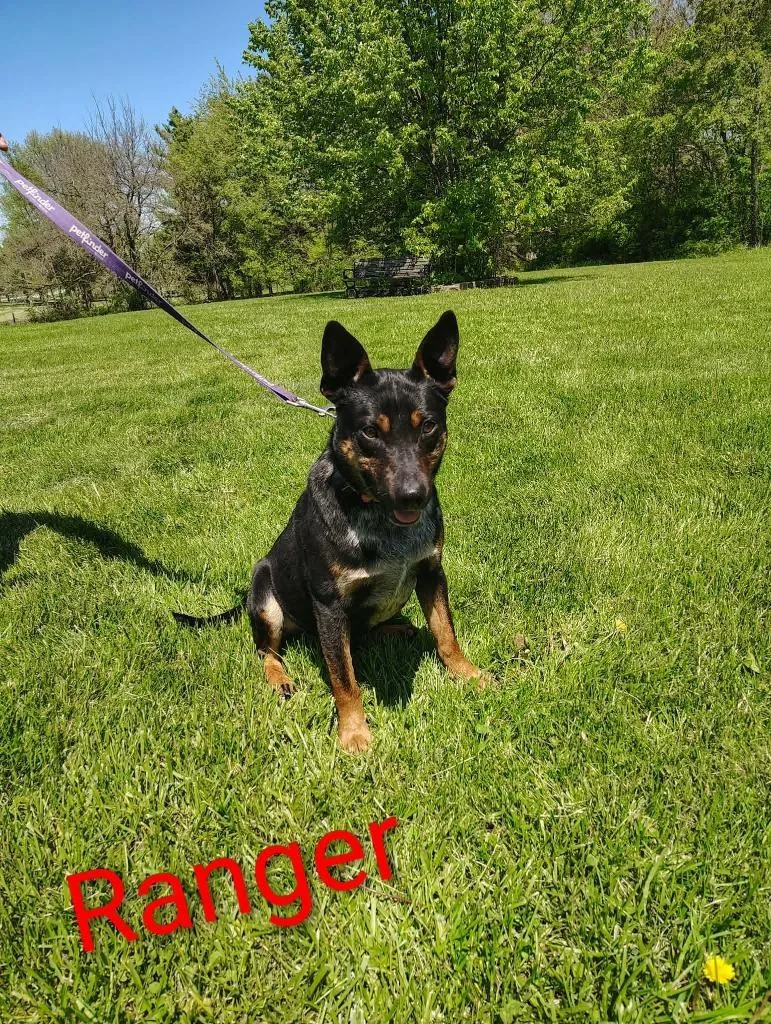 Ranger