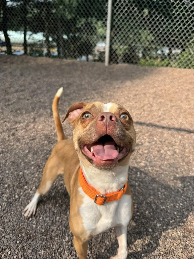 Sebastian