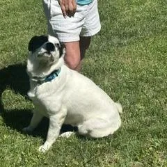 Wrangler thumbnail 6