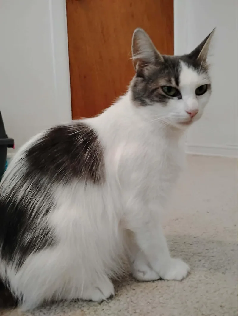 Penelope thumbnail 2