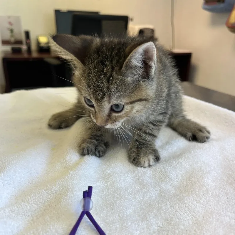 Mix And Mingle thumbnail 2