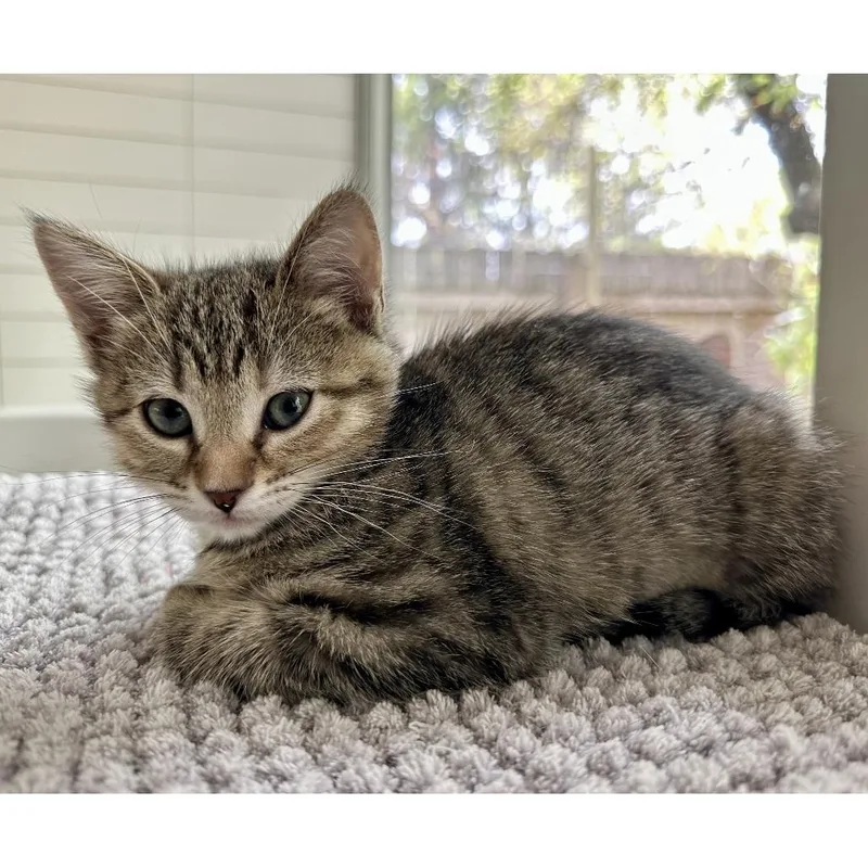 Mix And Mingle thumbnail 3