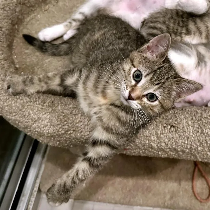 Mix And Mingle thumbnail 4