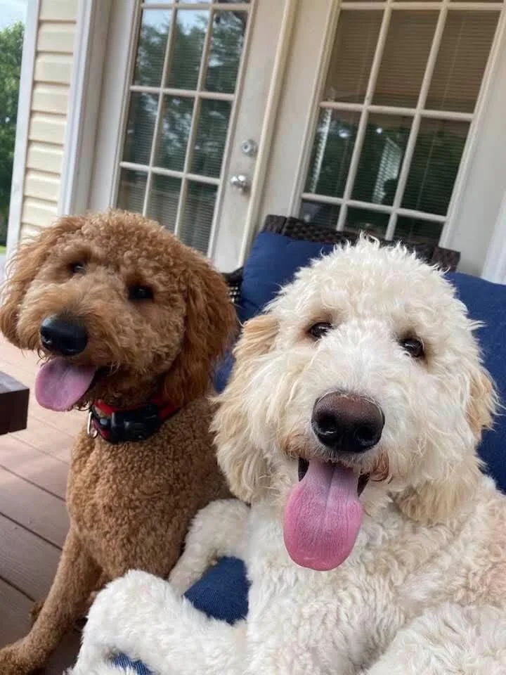 Rusty and Winston