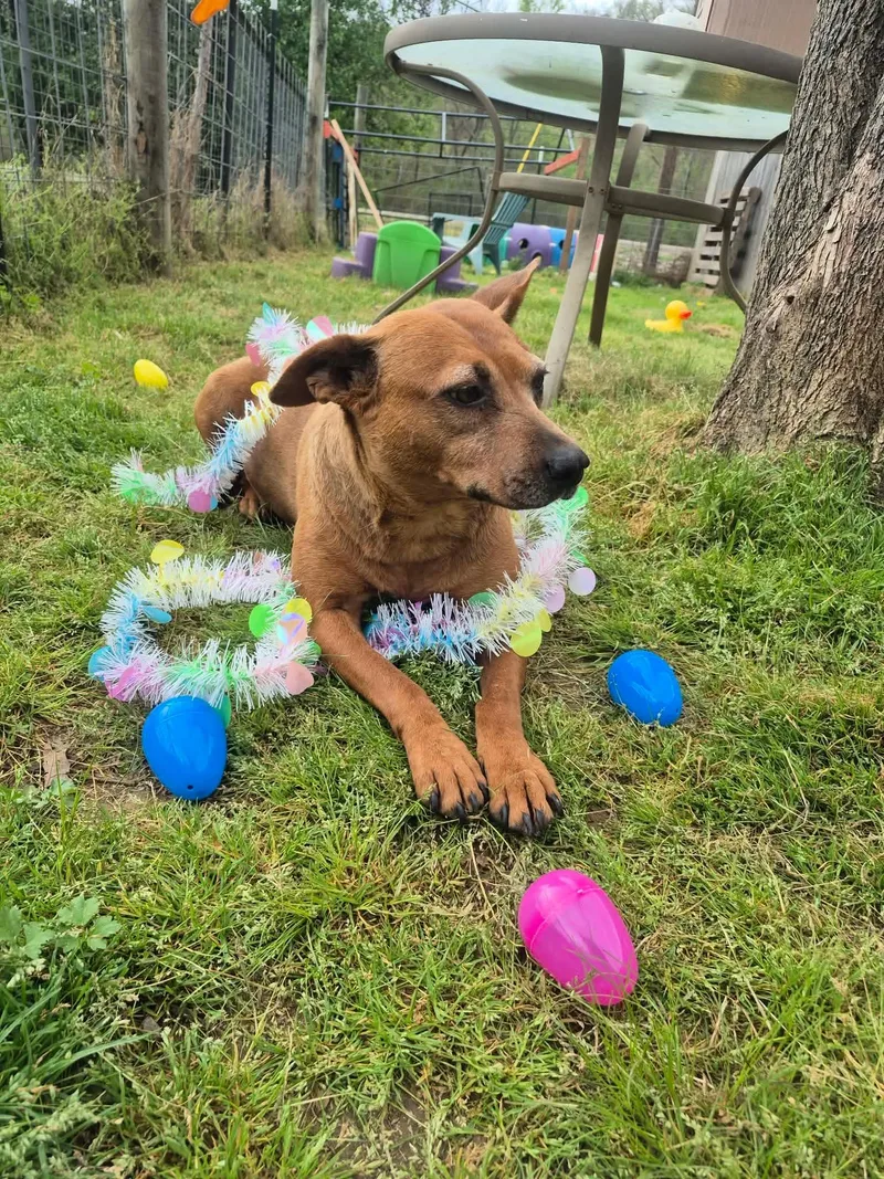 Espresso thumbnail 2