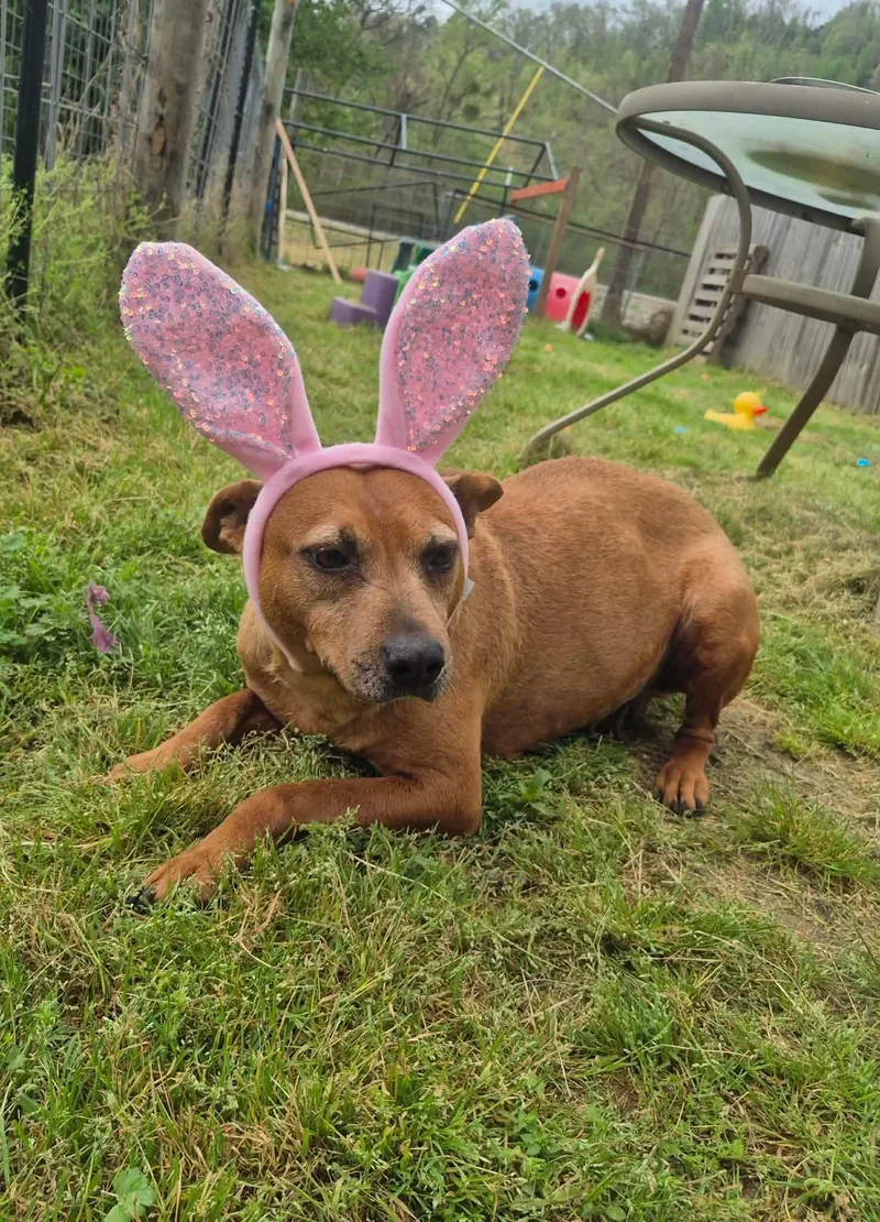 Espresso thumbnail 4