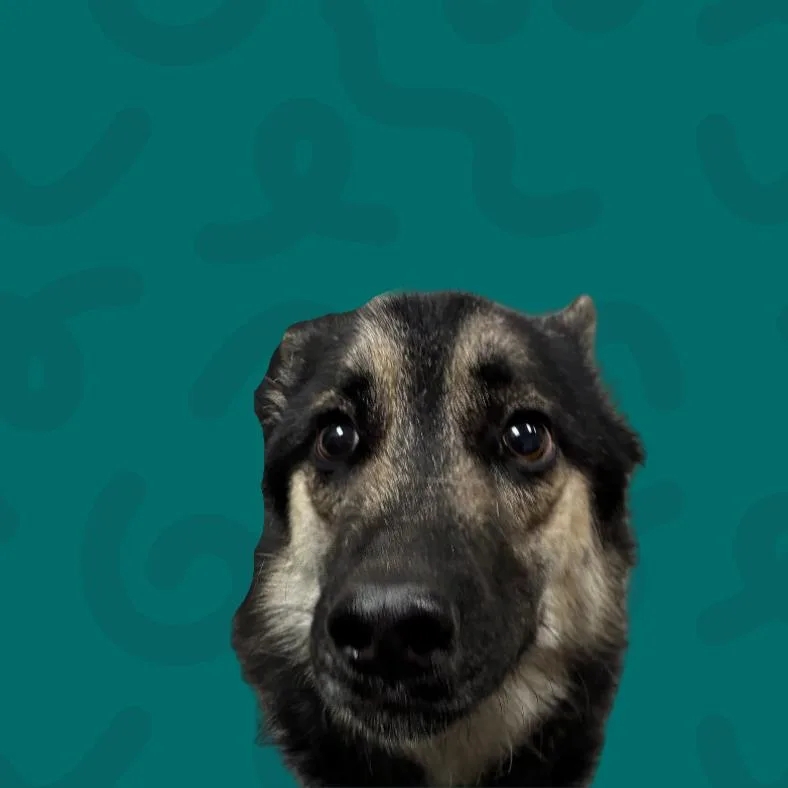 Skittles thumbnail 2