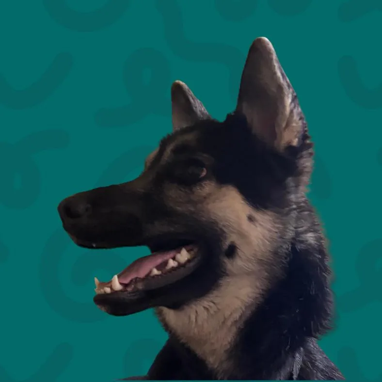 Skittles thumbnail 3