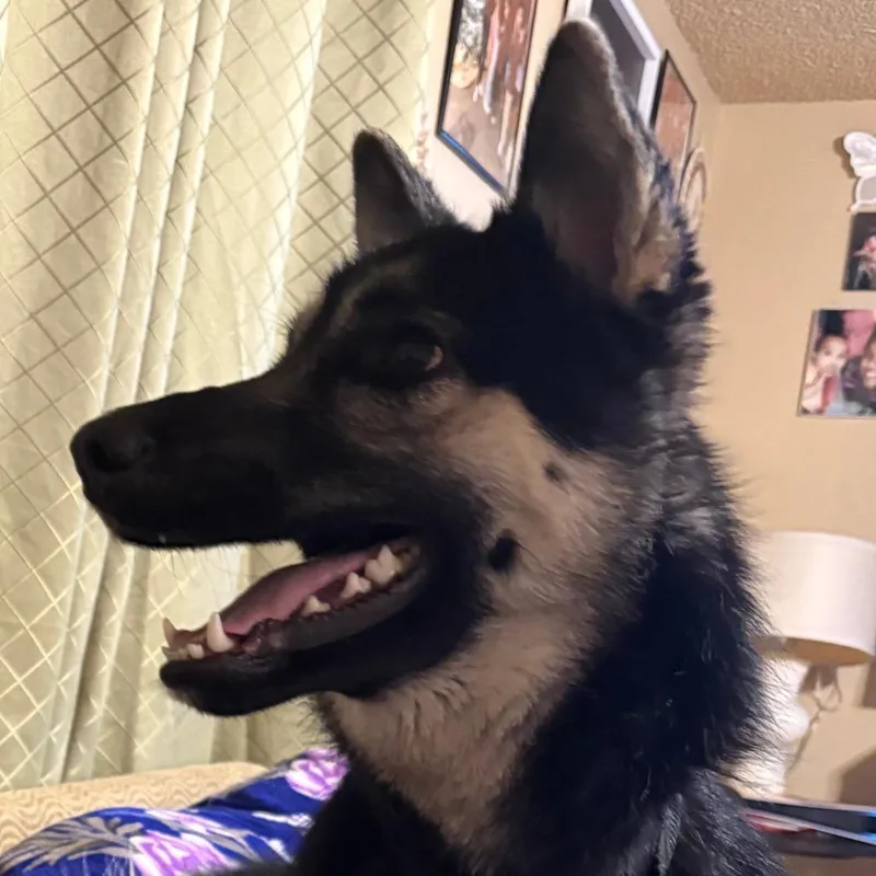 Skittles thumbnail 4