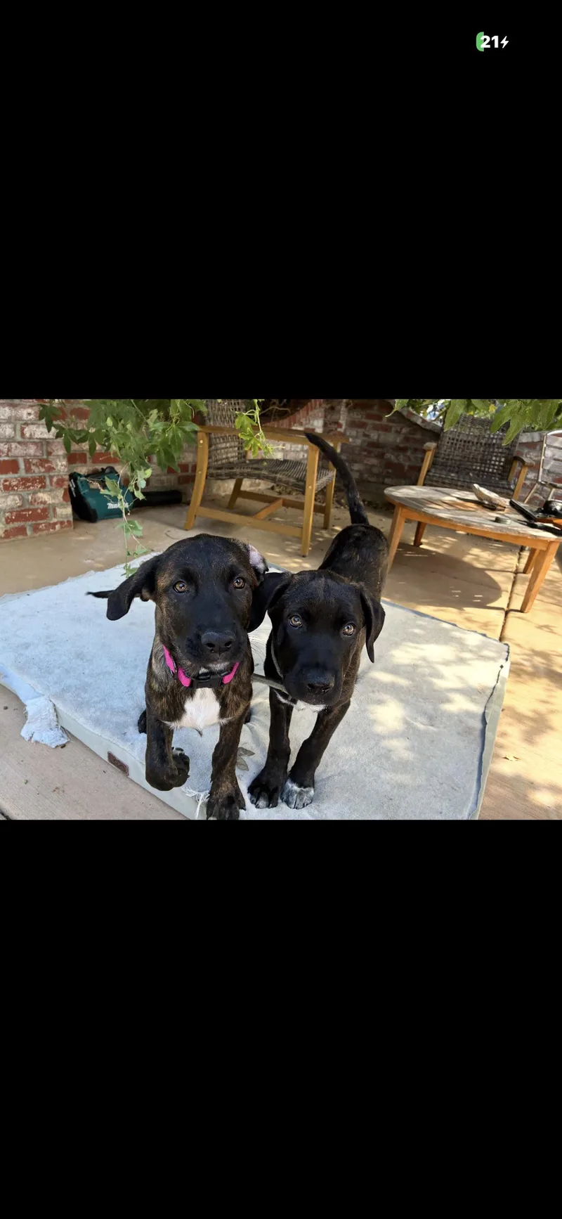 Lily Mae aka squish thumbnail 3