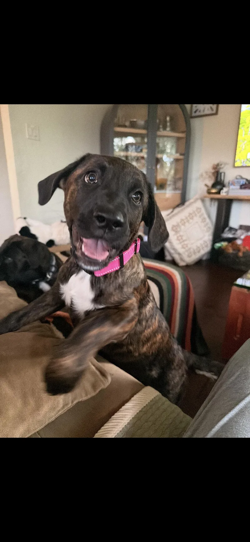 Lily Mae aka squish thumbnail 5
