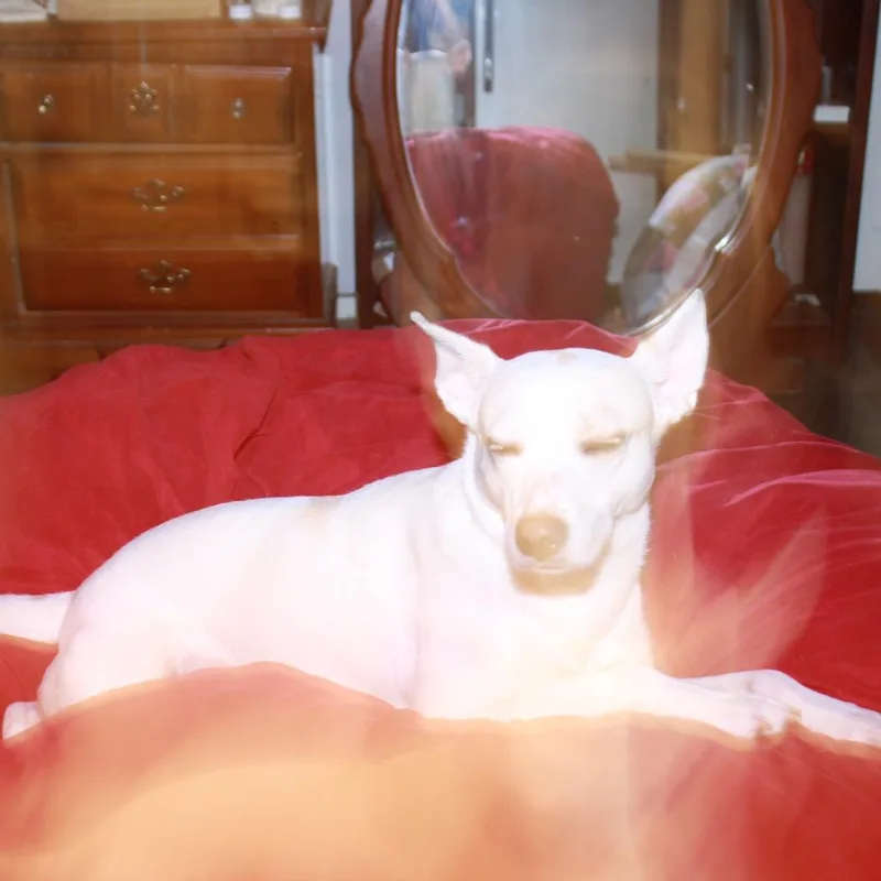 Pippi thumbnail 3